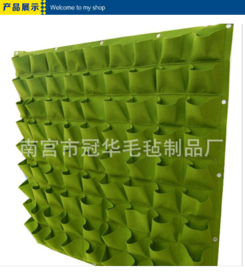 園藝植物圖片/園藝植物樣板圖 (1)