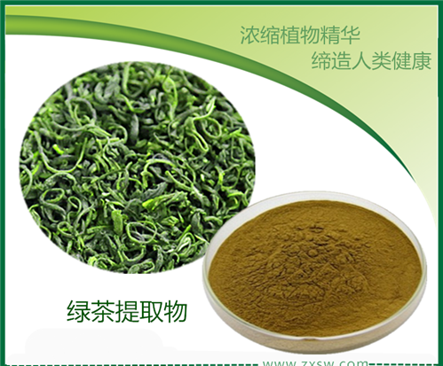 陜西中鑫生物供應(yīng)綠茶提取物*40%-98%  兒茶素30%-95%  EGCG 98%