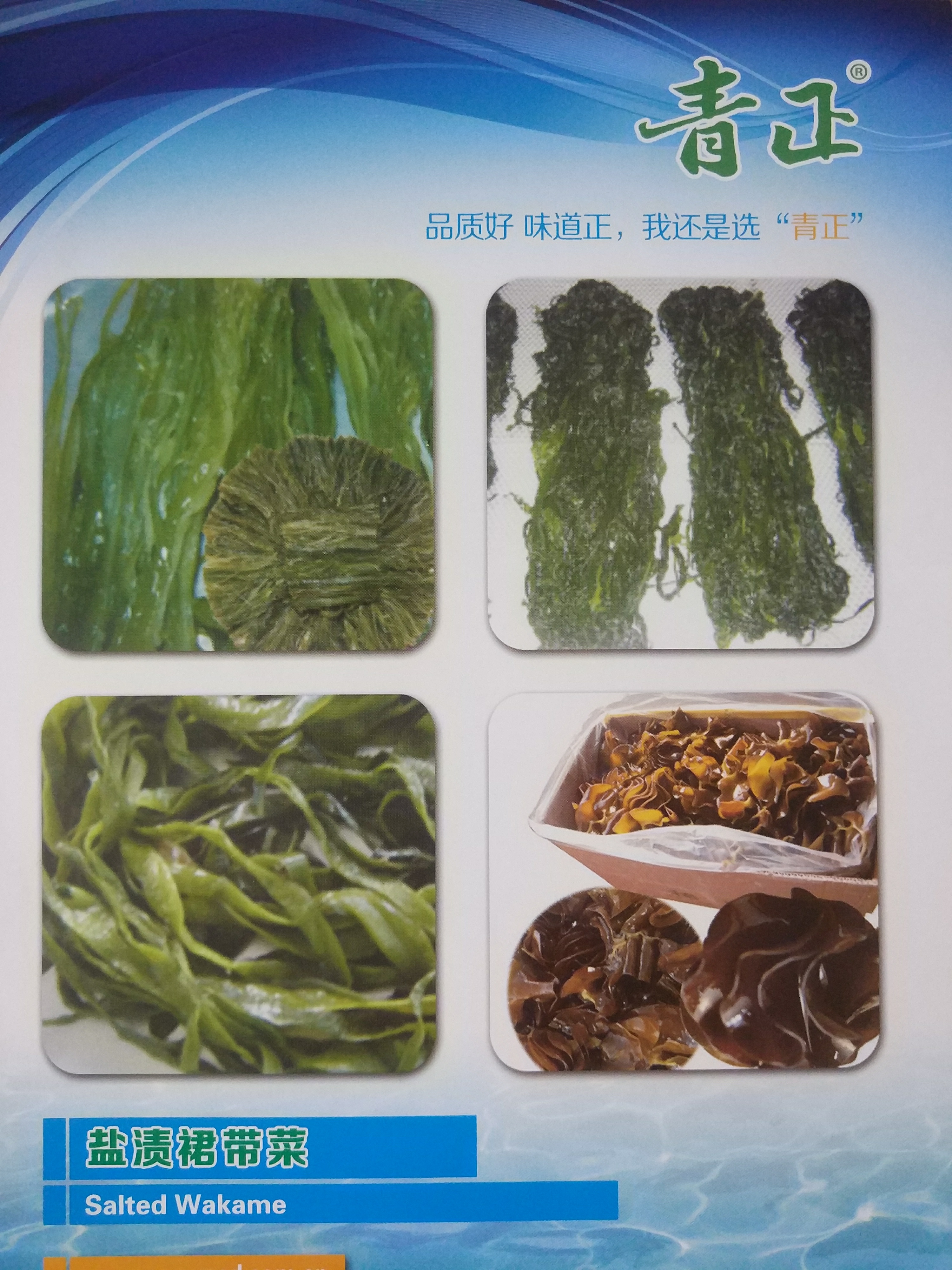 鹽漬海帶絲