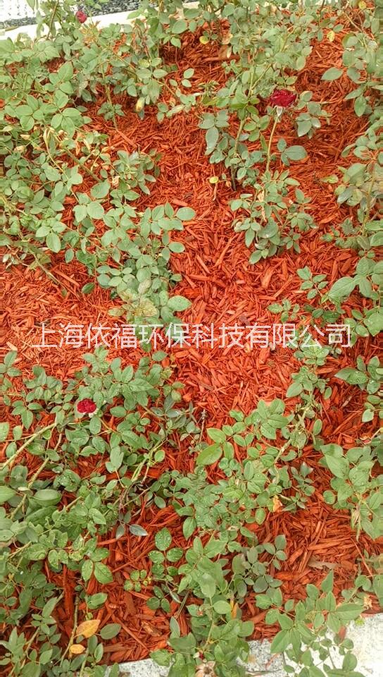 覆蓋物圖片/覆蓋物樣板圖 (3)