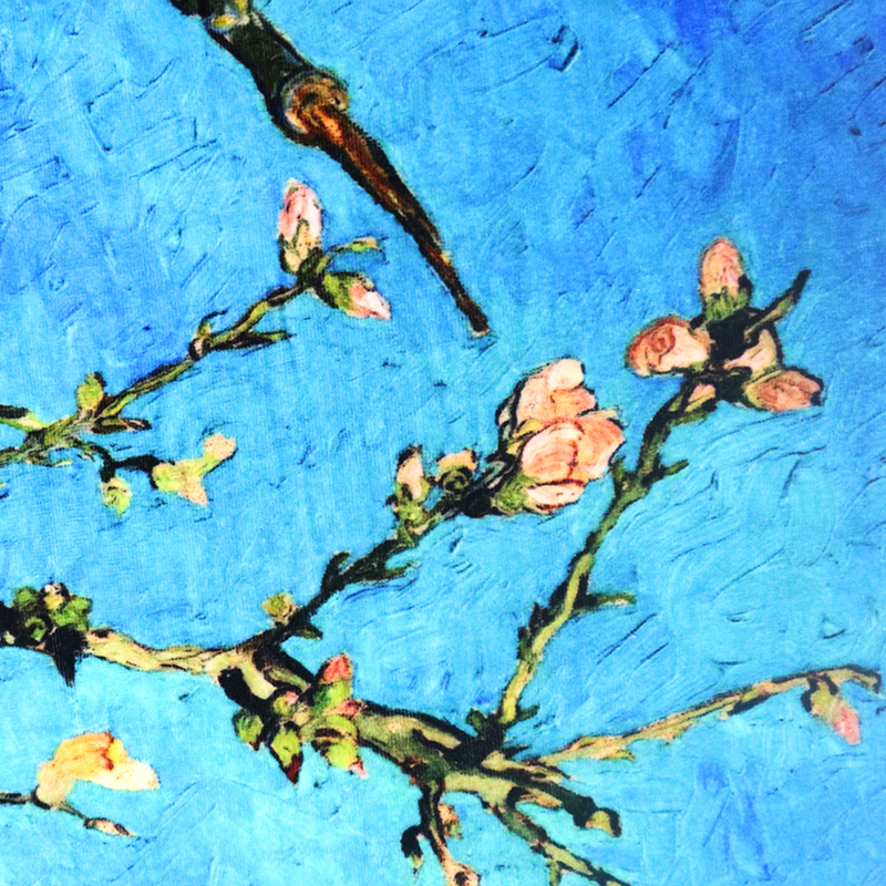 柔軟浴巾圖片/柔軟浴巾樣板圖 (3)