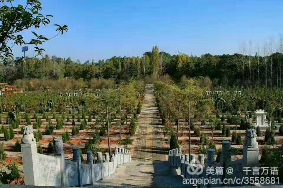 大師來到北邙南山圖片/大師來到北邙南山樣板圖 (4)