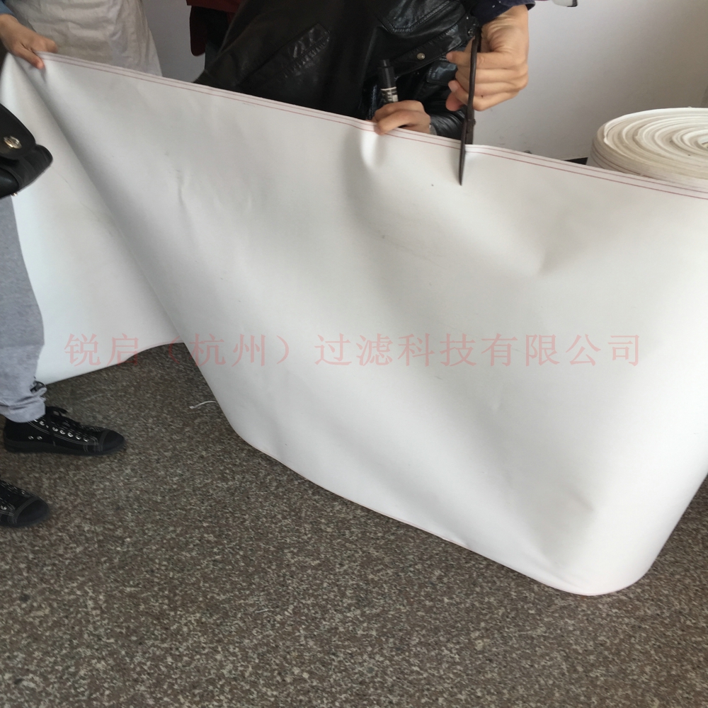 廠家銷售滌綸防靜電過濾布圖片/廠家銷售滌綸防靜電過濾布樣板圖 (2)
