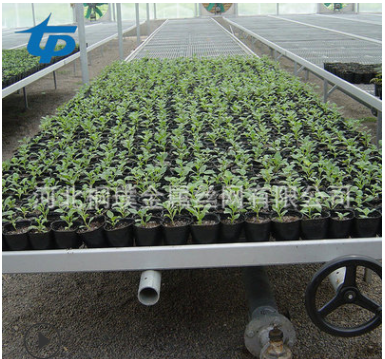 大棚床圖片/大棚床樣板圖 (2)