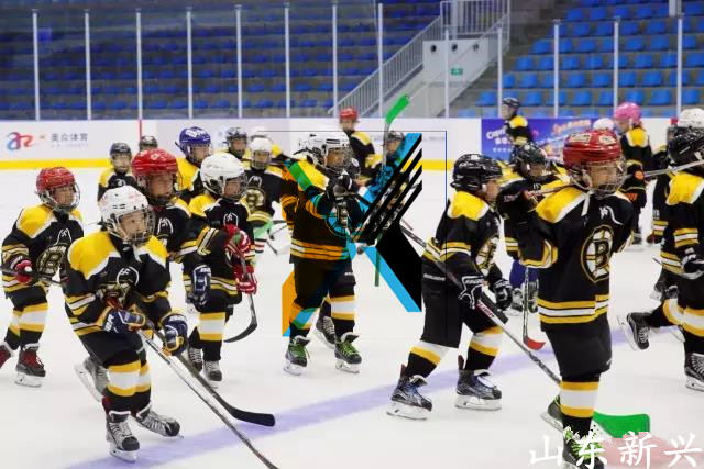 廠家直供可拆卸冰球場安全圍欄擋板圖片/廠家直供可拆卸冰球場安全圍欄擋板樣板圖 (1)