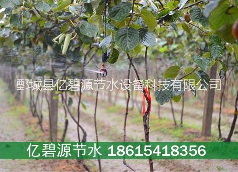 四川犍為縣農(nóng)業(yè)節(jié)水灌溉pe小管布局*