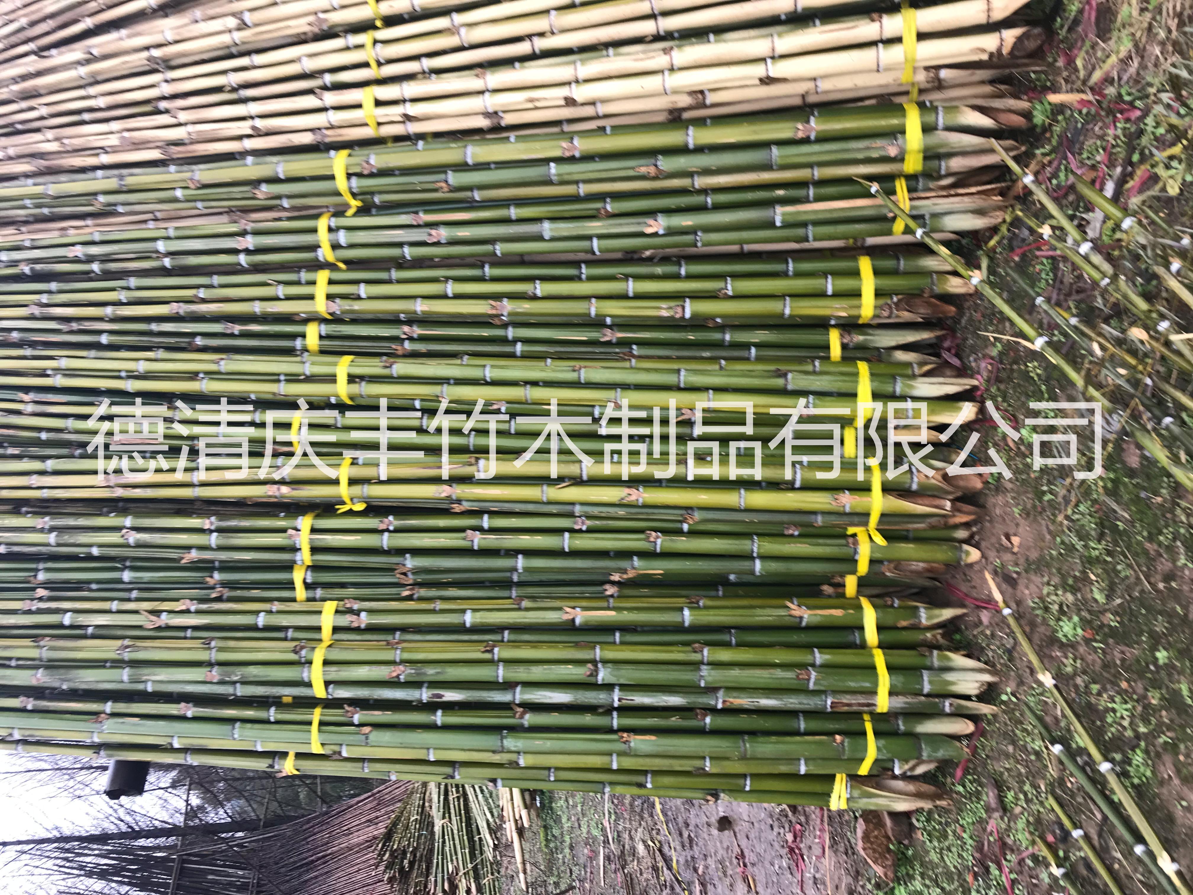 浙江大竹竿批發(fā)圖片