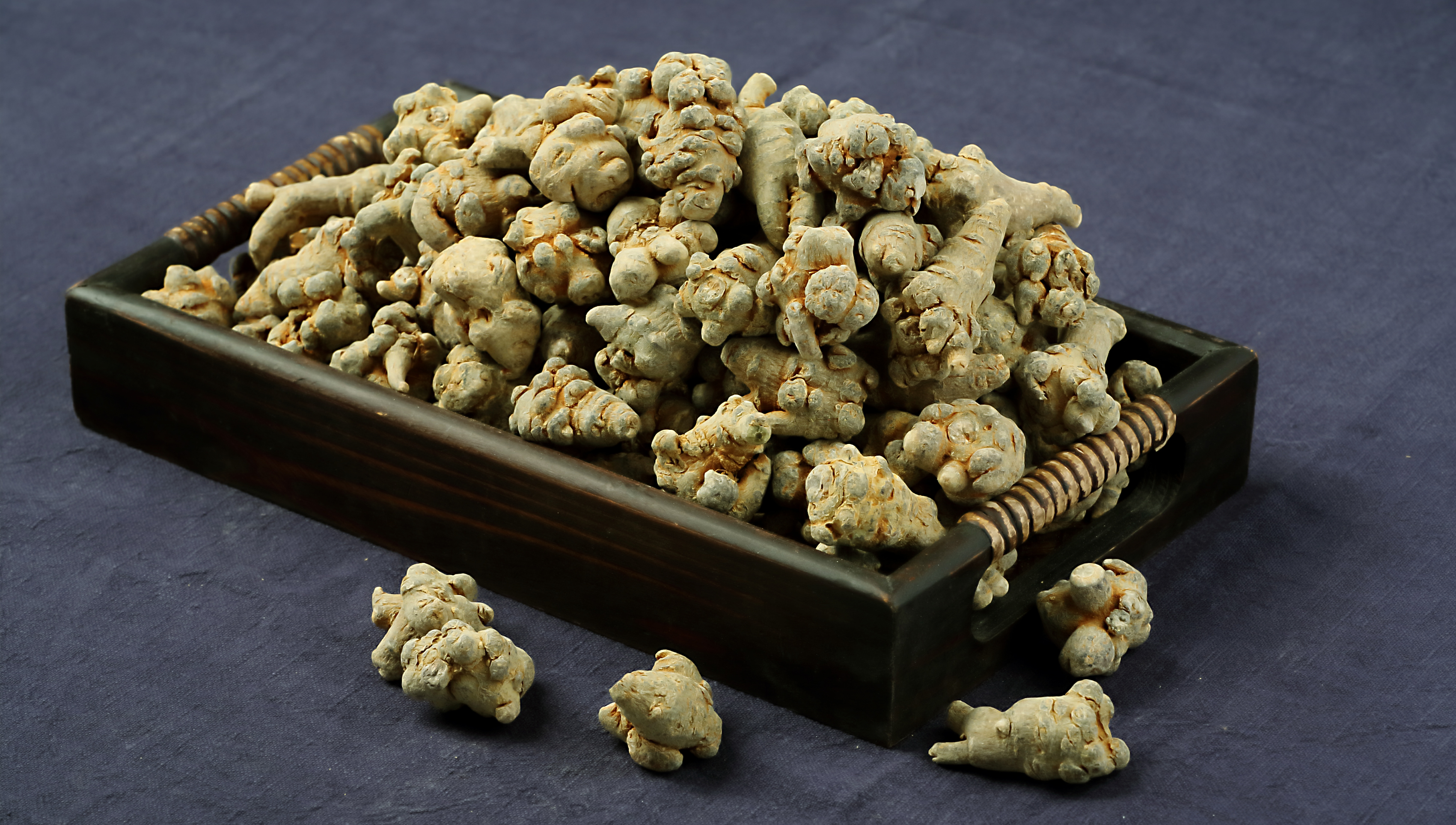 山田圖片/山田樣板圖 (1)