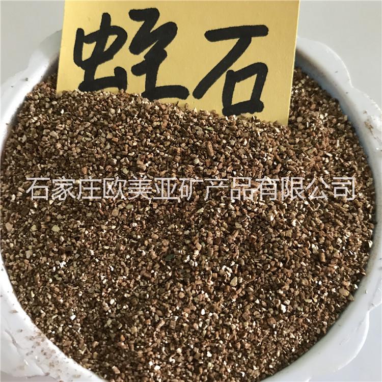 盆栽盆景圖片/盆栽盆景樣板圖 (3)