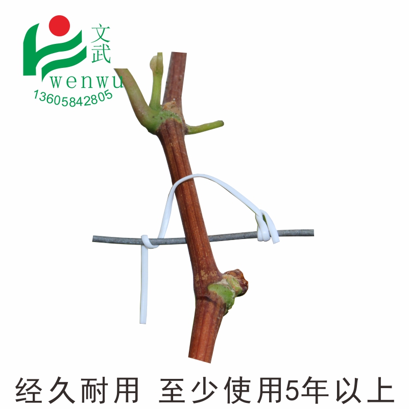 葡萄扎絲綁絲扁0.7 文武特價園圖片
