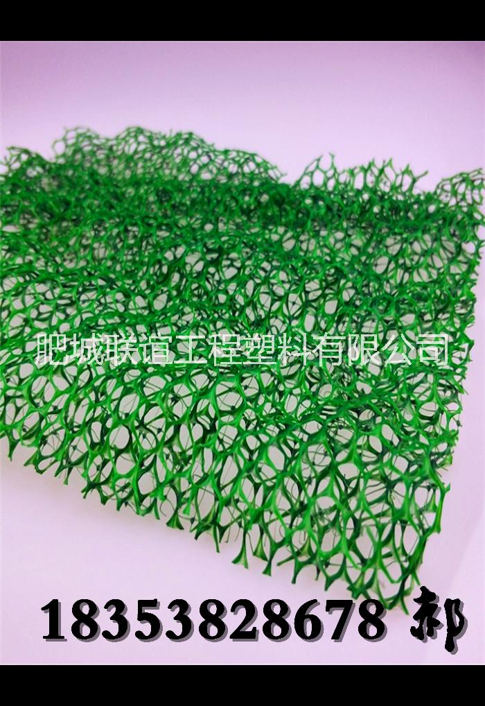 三維植被網(wǎng)圖片/三維植被網(wǎng)樣板圖 (4)