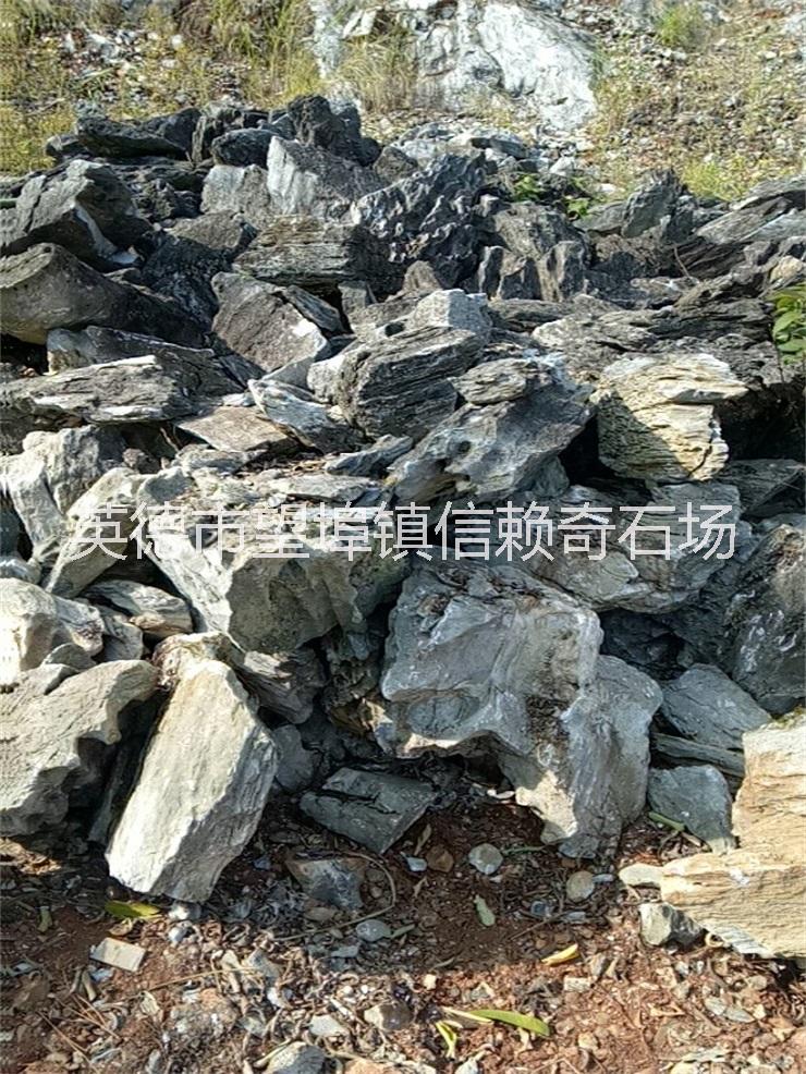 英石圖片/英石樣板圖 (3)