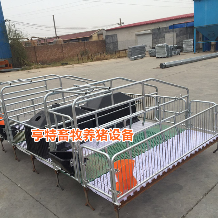 母豬產(chǎn)床圖片/母豬產(chǎn)床樣板圖 (1)