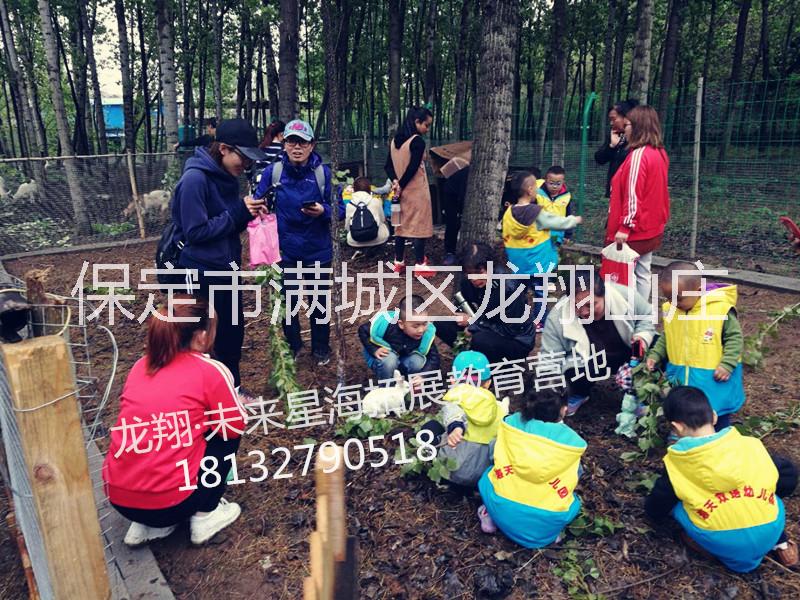 龙翔未来星海拓展教育魔训集训团建河北保定滑雪场青少年教育基地图片