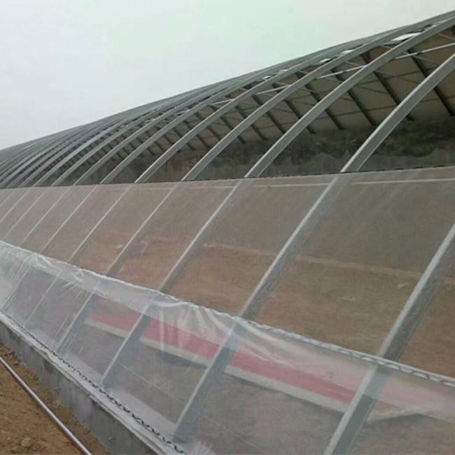 橢圓管圖片/橢圓管樣板圖 (3)