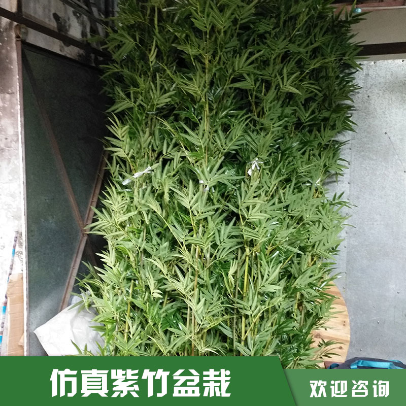 仿真紫竹盆景圖片/仿真紫竹盆景樣板圖 (4)