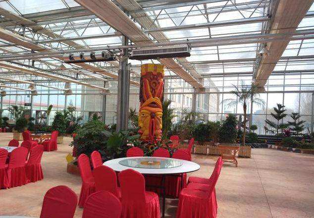 陽光板溫室餐廳【圖片】，濰坊連棟陽光板溫室安裝電話，陽光板溫室餐廳安裝方法，陽光板和玻璃哪種好