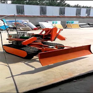 糧食倉庫圖片/糧食倉庫樣板圖 (1)