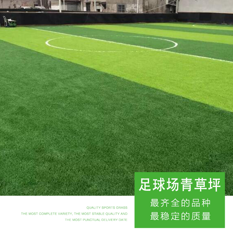 足球場青草坪圖片/足球場青草坪樣板圖 (2)