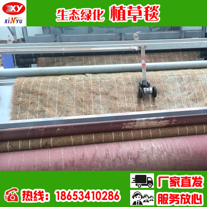 植物纖維圖片/植物纖維樣板圖 (4)