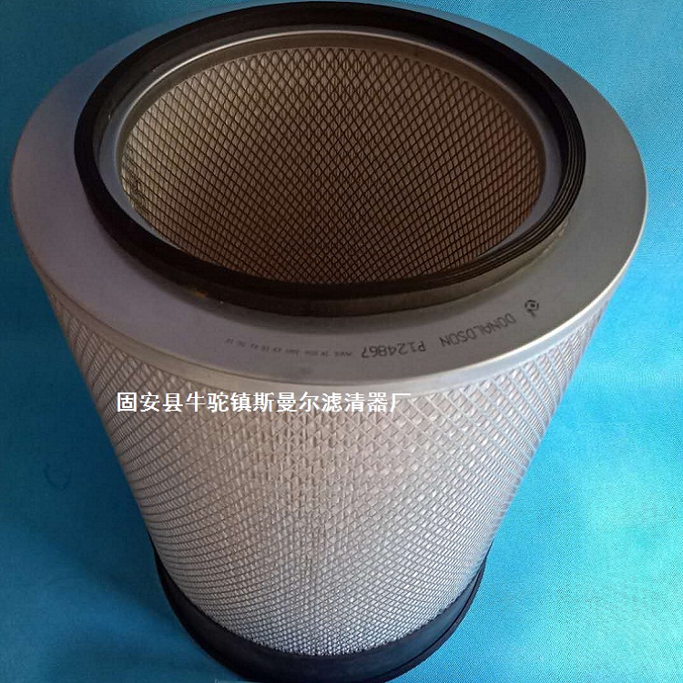 唐納森濾芯P124867圖片