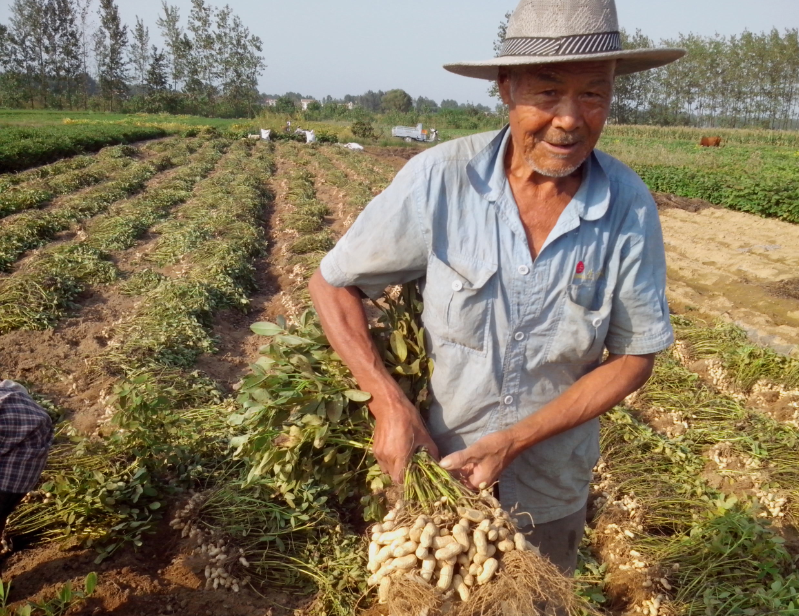地膜圖片/地膜樣板圖 (3)