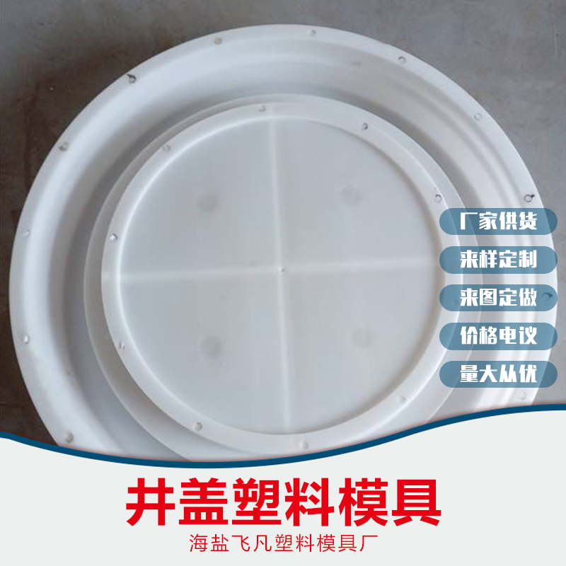 井蓋塑料模具圖片/井蓋塑料模具樣板圖 (4)