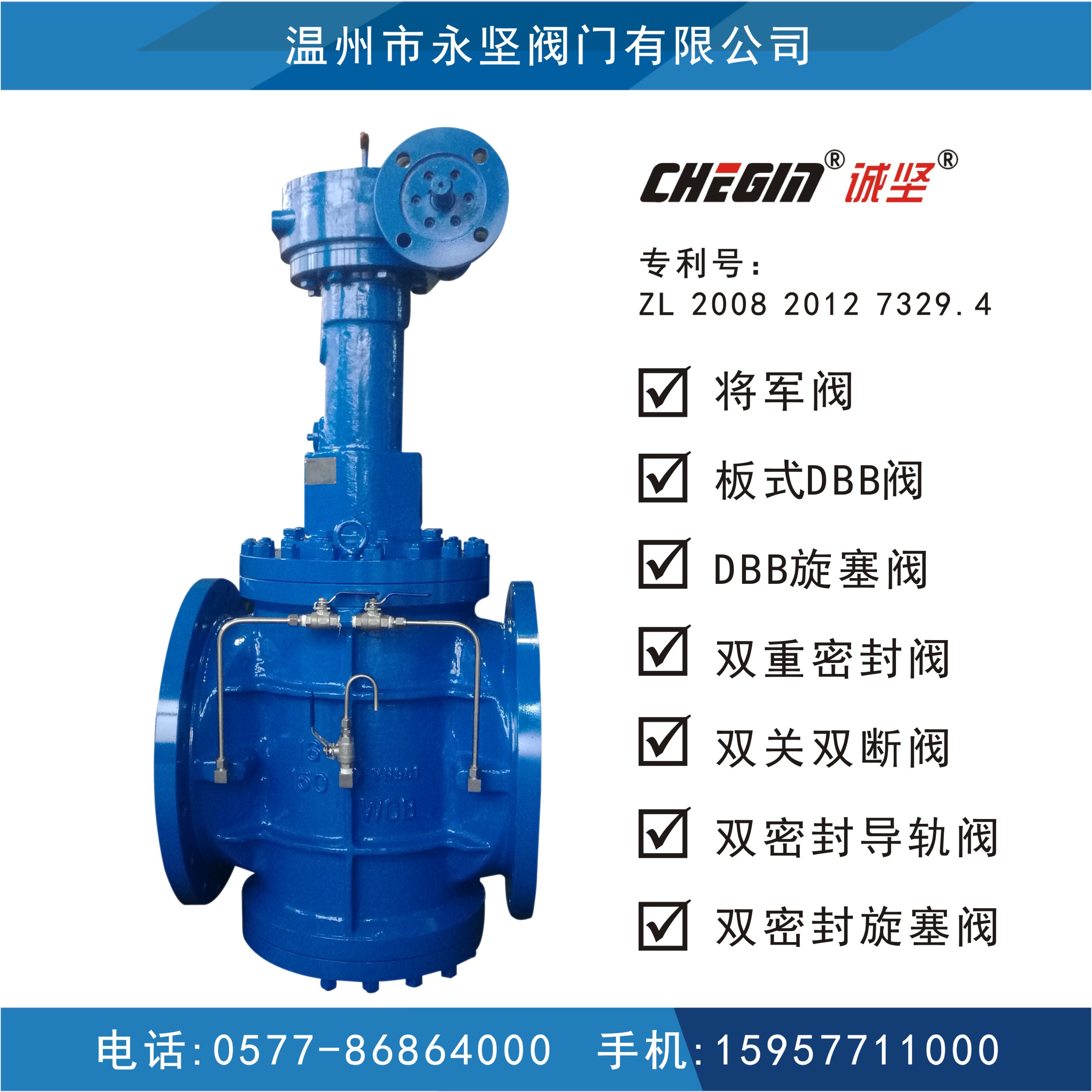 電動板式DBB閥圖片/電動板式DBB閥樣板圖 (3)