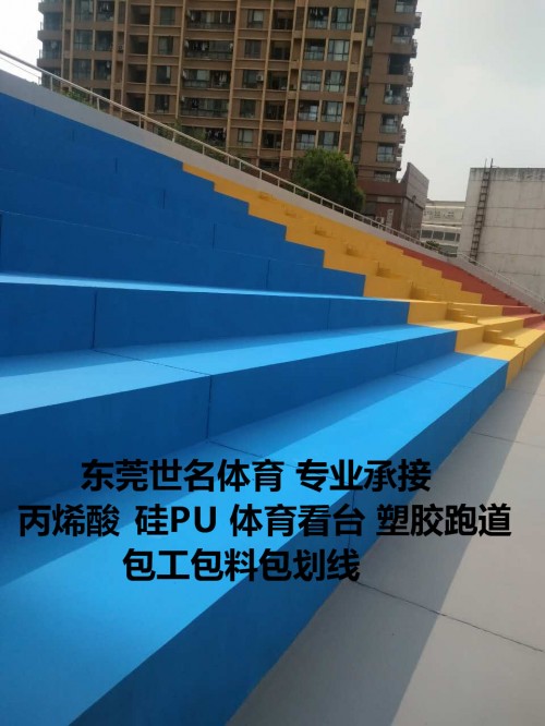 塑膠跑道圖片/塑膠跑道樣板圖 (3)