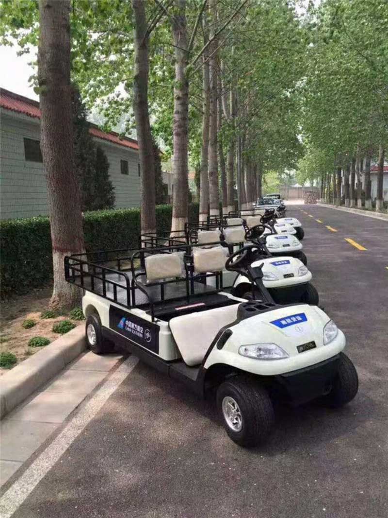 電動老爺車圖片/電動老爺車樣板圖 (3)