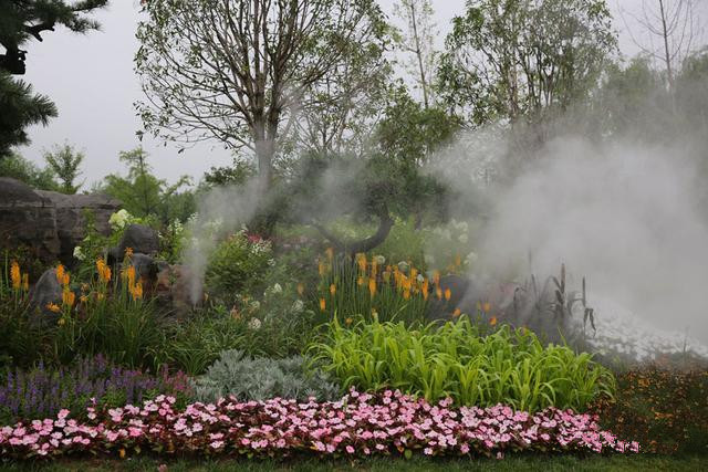 園林景觀噴霧 噴霧系統(tǒng)圖片