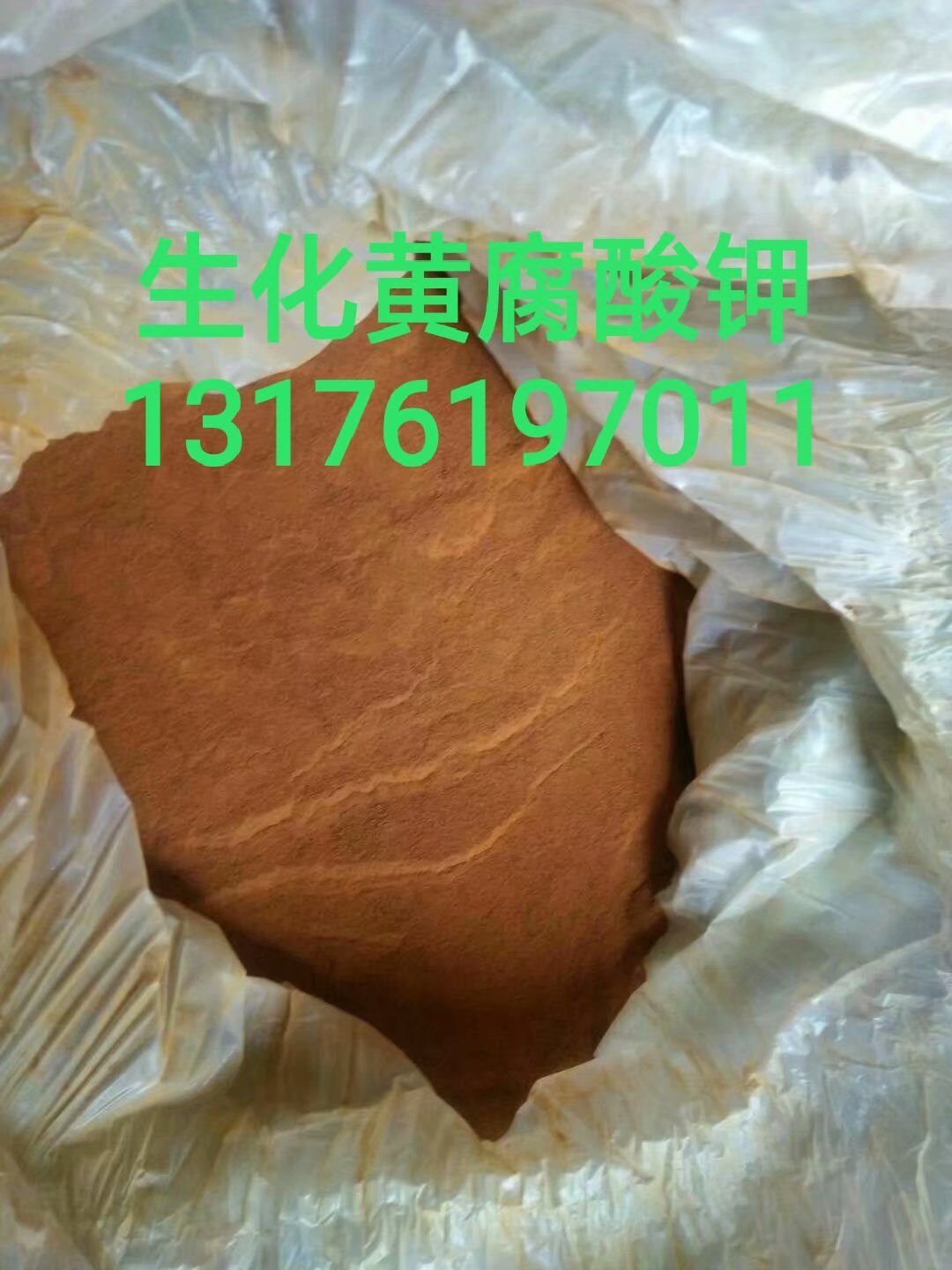 微生物菌圖片/微生物菌樣板圖 (4)