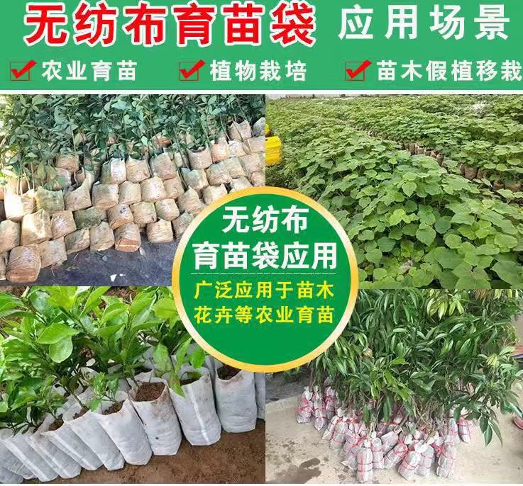 環(huán)保育苗網(wǎng)袋圖片/環(huán)保育苗網(wǎng)袋樣板圖 (2)