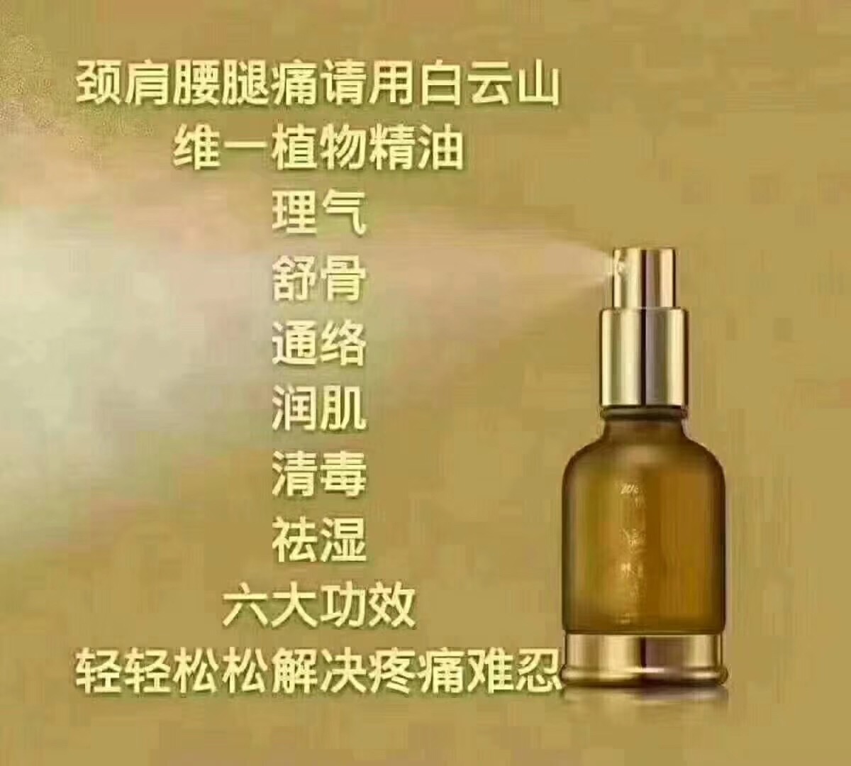 白云山圖片/白云山樣板圖 (4)