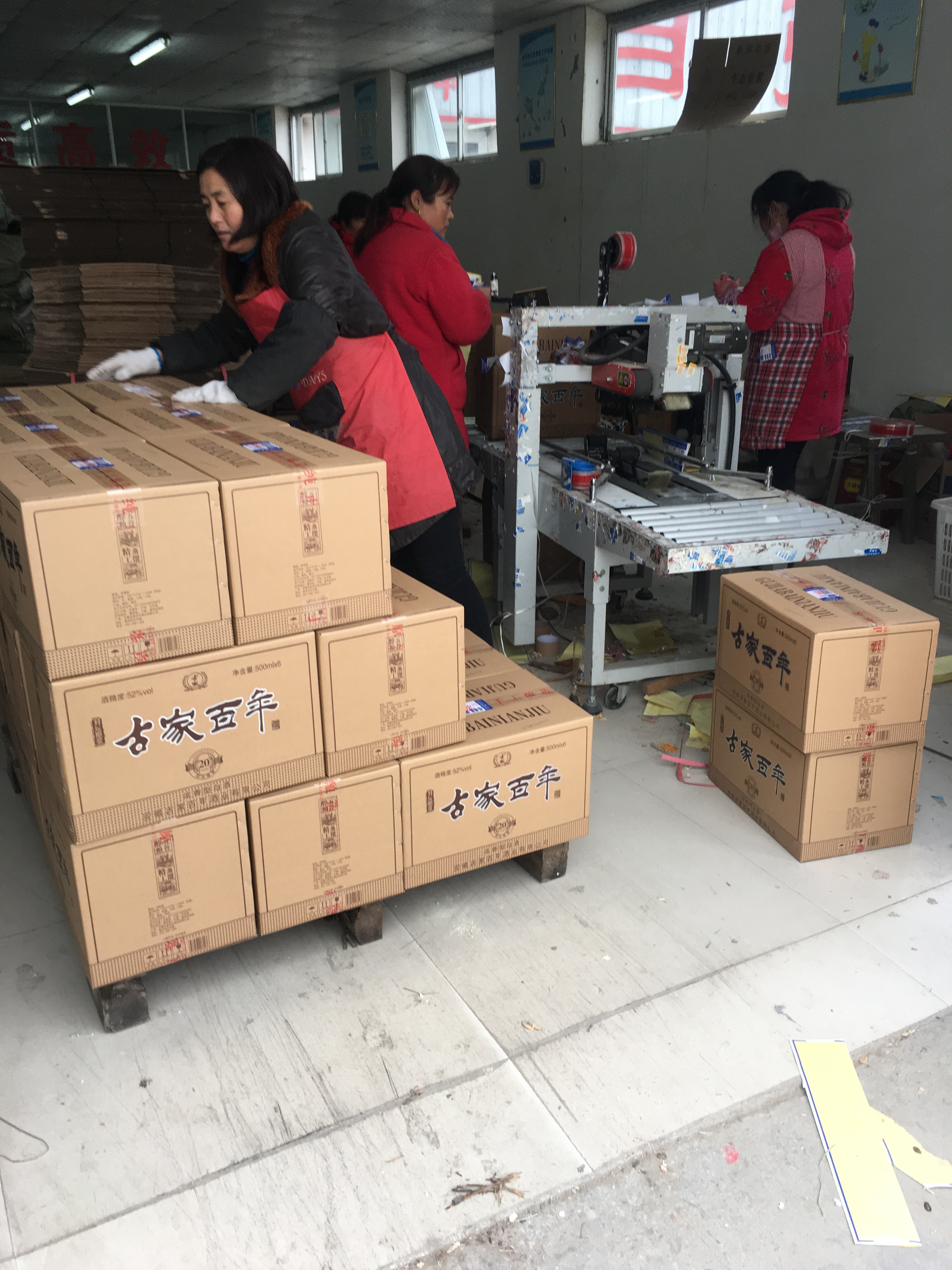 百年圖片/百年樣板圖 (2)