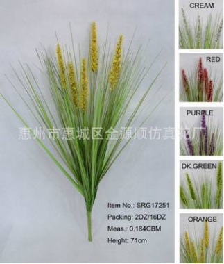 塑膠仿真草圖片