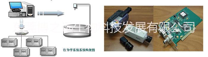 Anymaze动物行为学视频分析 东莞博之远生物