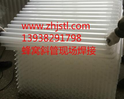 蜂窩斜管圖片/蜂窩斜管樣板圖 (2)