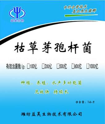 黑龍江枯草芽孢桿菌圖片