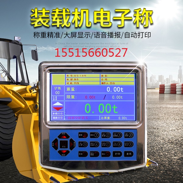 計(jì)重電子秤圖片/計(jì)重電子秤樣板圖 (2)