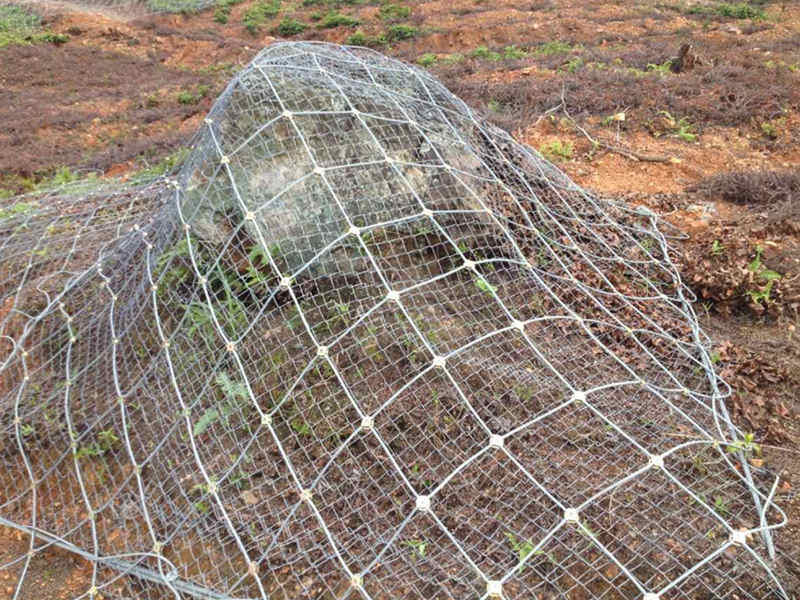 邊坡編織網(wǎng)圖片/邊坡編織網(wǎng)樣板圖 (2)