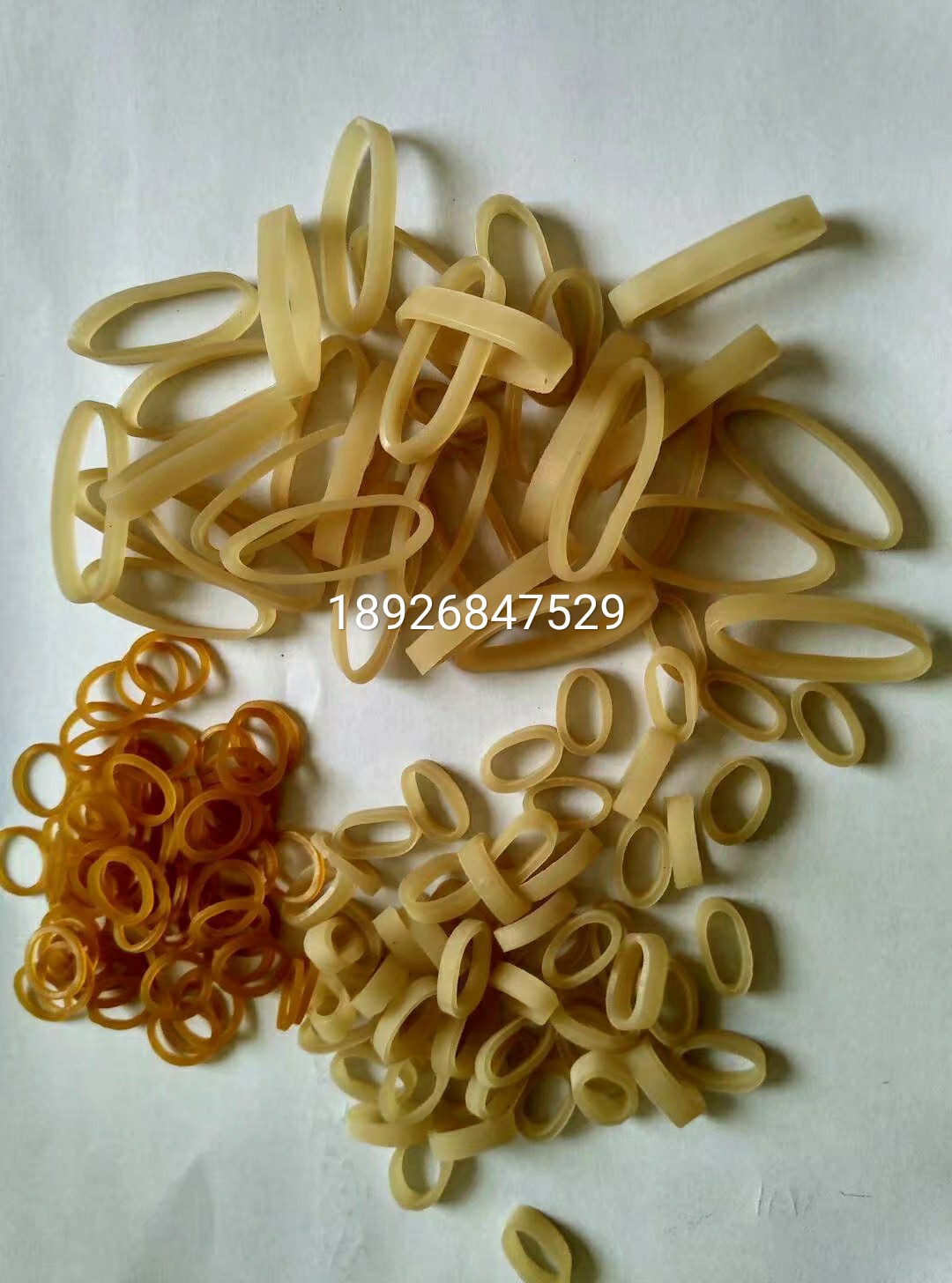 乳膠圈圖片/乳膠圈樣板圖 (1)