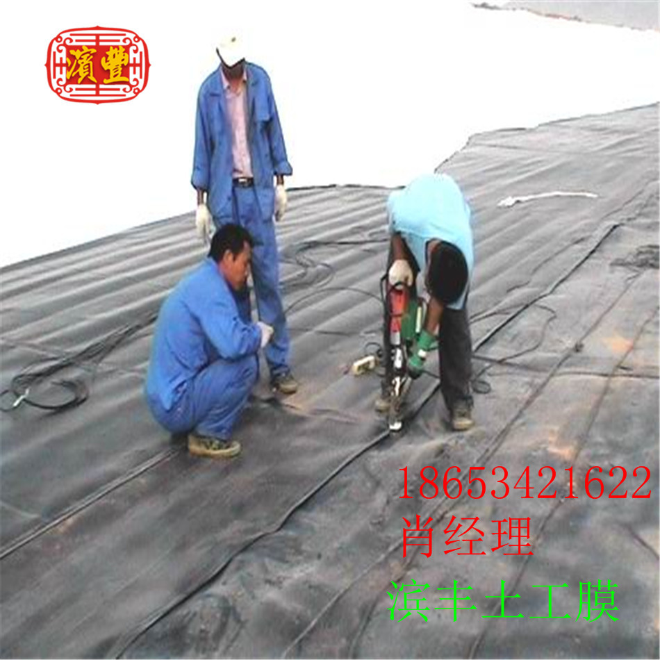 土工膜 隔離防滲膜廠家優(yōu)惠直銷 土工防滲膜 魚塘土工防滲膜 垃圾填埋場土工防滲膜