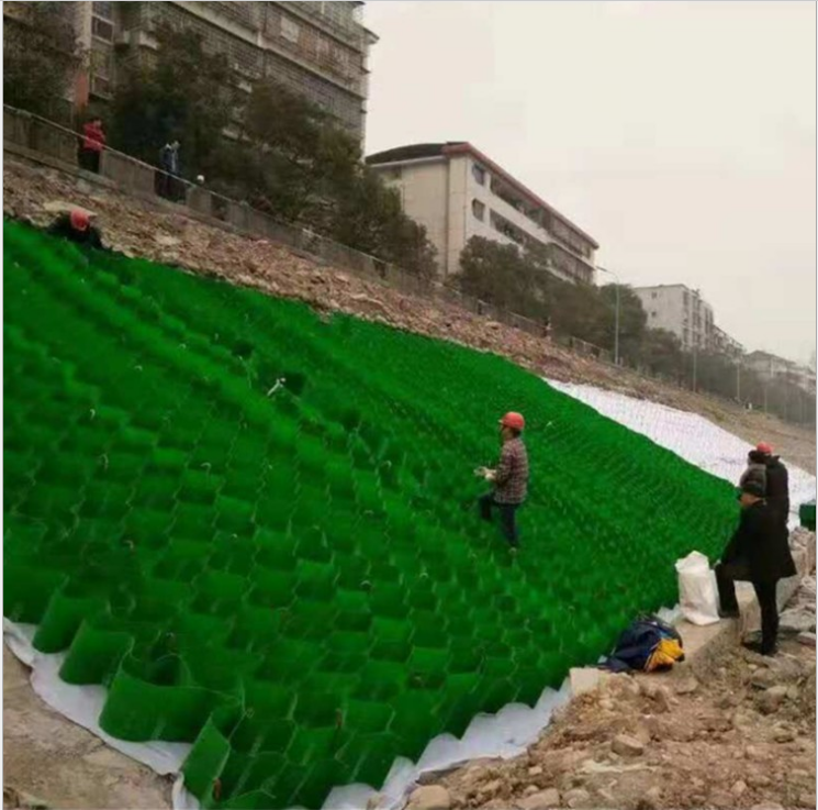 蜂巢格室圖片/蜂巢格室樣板圖 (2)