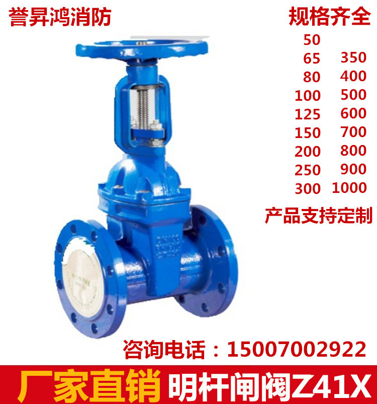 南昌西湖區(qū)廠家閩山軟密封閘閥*球鐵 明桿閘閥Z41X 爭一彈性座封閘閥