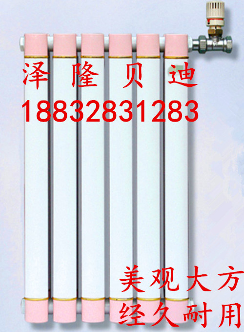 銅鋁復(fù)合暖氣片圖片/銅鋁復(fù)合暖氣片樣板圖 (2)
