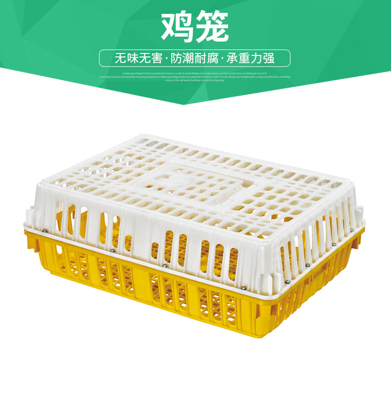 塑料雞籠 雞籠 加厚雞籠圖片
