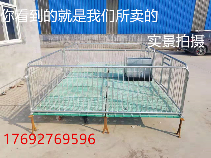 母豬分娩床圖片/母豬分娩床樣板圖 (4)