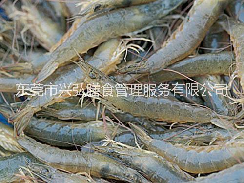 東莞蔬菜水產(chǎn)配送-食堂承包 專業(yè) 準(zhǔn)時(shí)