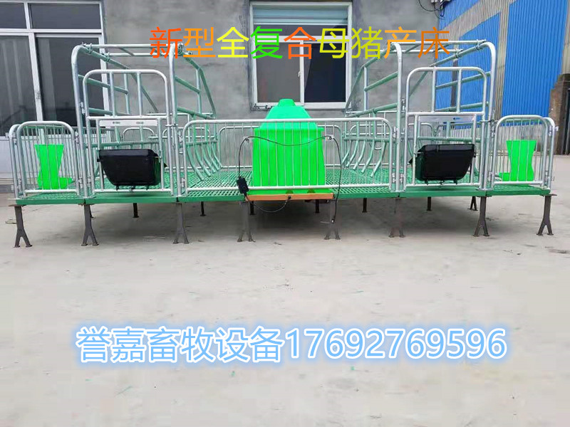 母豬產(chǎn)床圖片/母豬產(chǎn)床樣板圖 (4)